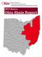 2013 Annual Ohio Shale Report