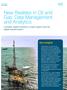 New Realities in Oil and Gas: Data Management and Analytics