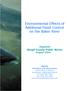 Environmental Effects of Additional Flood Control on the Baker River