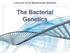 Lectures of Dr.Mohammad Alfaham. The Bacterial Genetics
