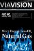 VIAVISION NO 01. More Energy, Less CO 2 Natural Gas. February 2013