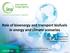 Role of bioenergy and transport biofuels in energy and climate scenarios