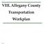 VIII. Allegany County Transportation
