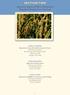 Section two. Agronomic Impacts of Winter Wetland and Waterfowl Management in Ricelands. Merle M. Anders
