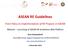 ASEAN RE Guidelines. Webinar Launching of ASEAN RE Guidelines Web Platform. Arne Schweinfurth