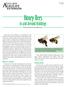 Honey Bees. In and Around Buildings. Bees vs. wasps. Honey bees. Michael Merchant and Molly Keck*
