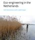 Eco-engineering in the Netherlands. Soft interventions with a solid impact