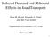 Induced Demand and Rebound Effects in Road Transport