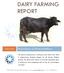 DAIRY FARMING REPORT. Project Report on 50 Murrah Buffalos DAIRY FARM