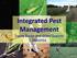 Integrated Pest Management. Tracey Baute and Gilles Quesnel OMAFRA