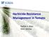 Herbicide Resistance Management in Tomato. Nathan S. Boyd Peter Dittmar