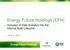 Energy Future Holdings (EFH)