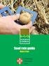 Seed rate guide. Maris Peer. Cambridge University Farm