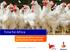 Time for Africa. Capturing the African meat and poultry investment opportunity