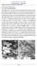 University of Pretoria Z Tang (2006) Chapter 8 Studies of acicular ferrite by thin foil TEM
