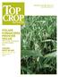 CROP FOLIAR FUNGICIDES PROVIDE VALUE MANAGER. CROWN RUST IN OAT Reduces oat yields and milling quality PG 10