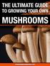 TABLE OF CONTENTS. Introduction. 1 The Basics In Mushroom Growth. 2 Best Environment For Mushrooms. 3 Different Edible Mushrooms You Can Grow At Home