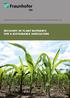 FRAUNHOFER INSTITUTE FOR INTERFACIAL ENGINEERING AND BIOTECHNOLOGY IGB RECOVERY OF PLANT NUTRIENTS FOR A SUSTAINABLE AGRICULTURE