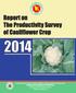 Report on The Productivity Survey of Cauliflower Crop