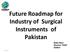 Future Roadmap for Industry of Surgical Instruments of Pakistan Basit Rauf Director TDAP Sialkot