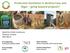 Productive Sanitation in Burkina Faso and Niger going beyond projects?