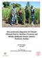 Rice production diagnostic for Chinsali (Chinsali District, Northern Province) and Mfuwe (Mwambe District, Eastern Province), Zambia