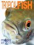 editorial content FEATURE ARTICLES DEPARTMENTS COLUMNS Ask Jack Cichlid World The Planted Tank Import Report Bottom of the Tank The Salt Mix