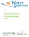 Carbon Project Annual Report. Year 2012
