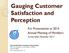 Gauging Customer Satisfaction and Perception