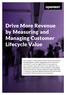 Drive More Revenue by Measuring and Managing Customer Lifecycle Value