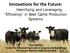 Innovations for the Future: Identifying and Leveraging Efficiency in Beef Cattle Production Systems