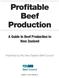 Profitable Beef Production