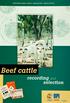 Beef cattle recording and selection