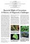 Bacterial Blight of Geranium: A History of Diagnostic Challenges