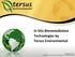 In Situ Bioremediation Technologies by Tersus Environmental