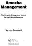 Amoeba Management. The Dynamic Management System for Rapid Market Response. Kazuo Inamori. CRC Press