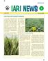 Nine New IARI Varieties Released