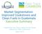 Market Segmentation: Improved Cookstoves and Clean Fuels in Guatemala Executive Summary