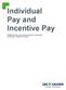 Individual Pay and Incentive Pay
