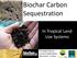 Biochar Carbon Sequestration