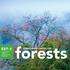 forests strengthened support Sustainable Strategy