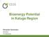 Bioenergy Potential in Kaluga Region