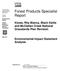 Forest Products Specialist Report
