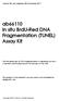 ab66110 In situ BrdU-Red DNA Fragmentation (TUNEL) Assay Kit
