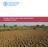 Damage and losses from climate-related disasters in agricultural sectors