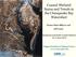 Coastal Wetland Status and Trends in the Chesapeake Bay Watershed