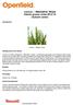 Lennox Alternative Wheat Interim grower notes 2013/14 (Autumn sown)