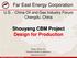 Shouyang CBM Project Design for Production