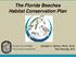 The Florida Beaches Habitat Conservation Plan