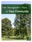 Tree Management Plans. & Your Community. The Morton Arboretum 4100 Illinois Route 53, Lisle, IL mortonarb.org/community-trees